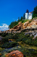 Bass Harbor Light Over Rocky Cliffs at Low Tide